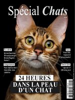 Spécial Chats